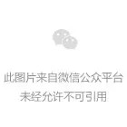 慧聪供应链赴盐田国际考察交流 共谋物流发展新机遇